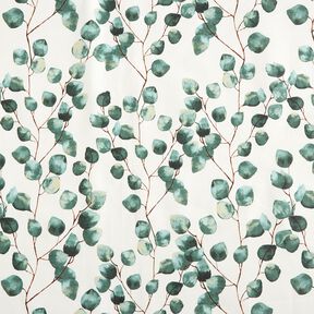 Coated Cotton Eucalyptus – ivory, 