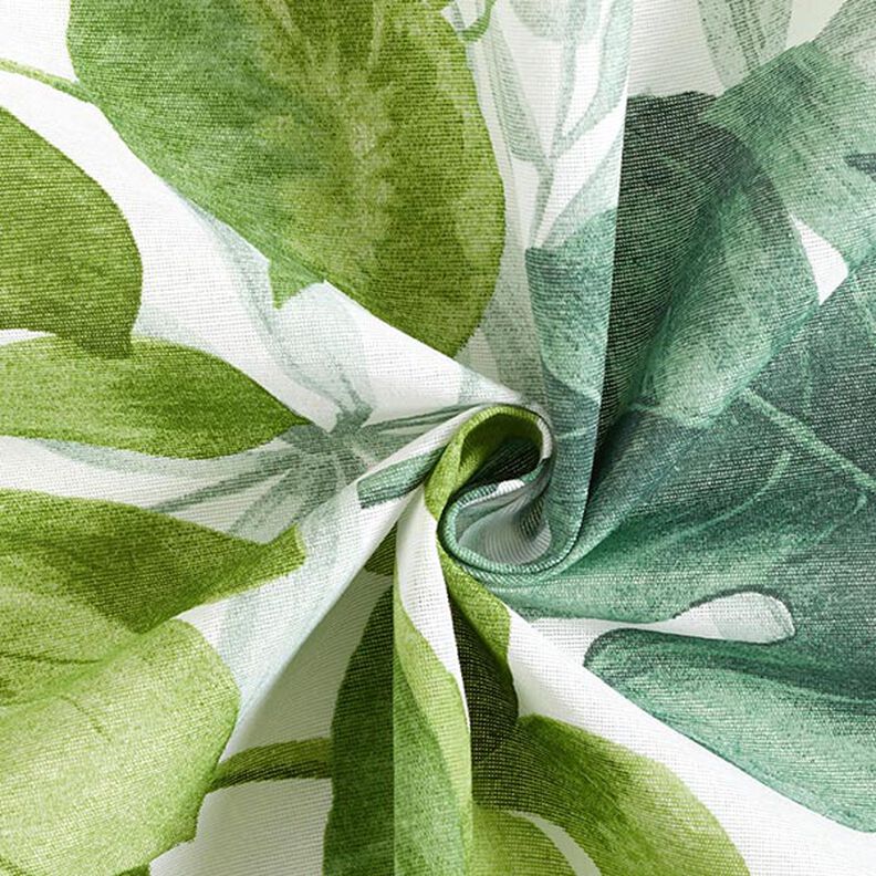 Decorative fabric Canvas Large monstera leaves – white/grass green,  image number 3