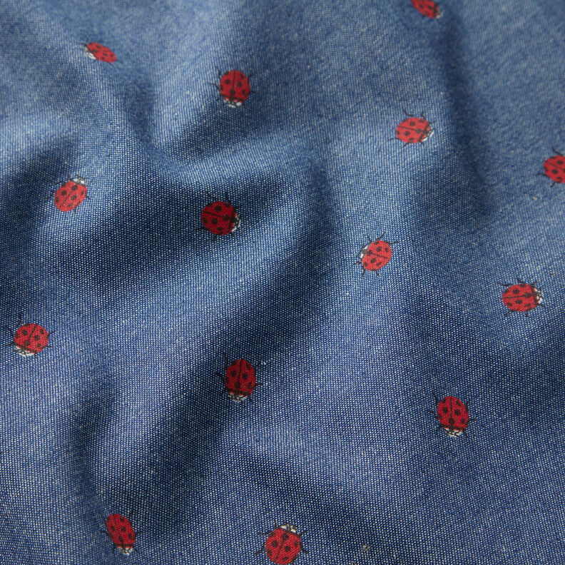 Chambray ladybird – denim blue,  image number 2