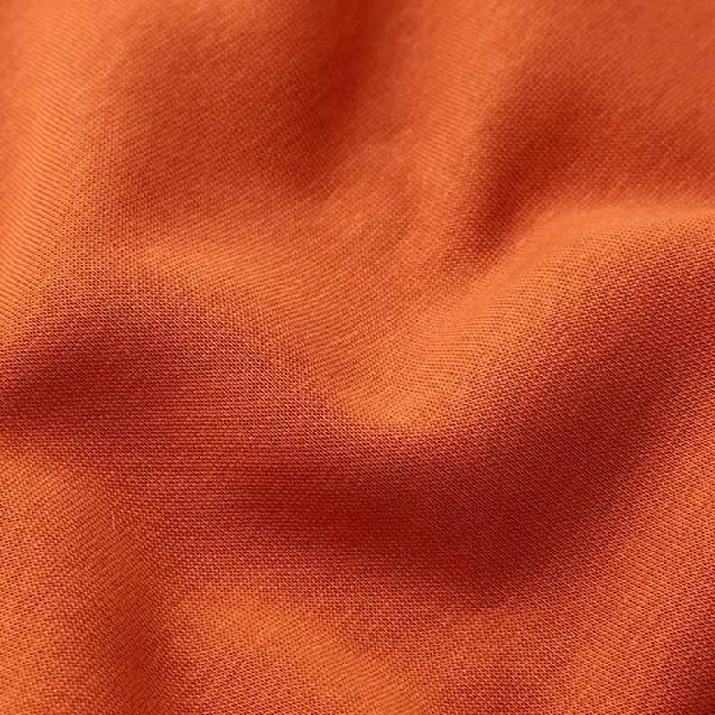 Brushed Sweatshirt Fabric – terracotta,  image number 3