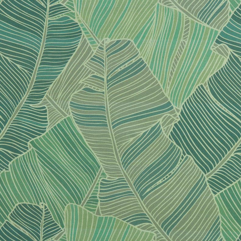 Outdoor Fabric Canvas leaf lines – green,  image number 1