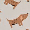 French Terry large dachshunds – light taupe,  thumbnail number 5