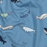 blue grey