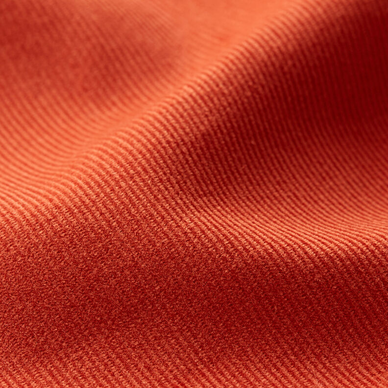 Baby Cord Plain – terracotta,  image number 3
