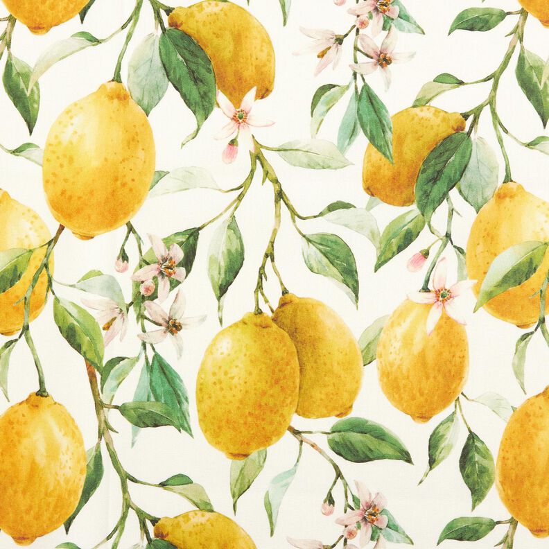 Outdoor Fabric Canvas lemons – ivory/lemon yellow,  image number 1