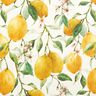 Outdoor Fabric Canvas lemons – ivory/lemon yellow,  thumbnail number 1