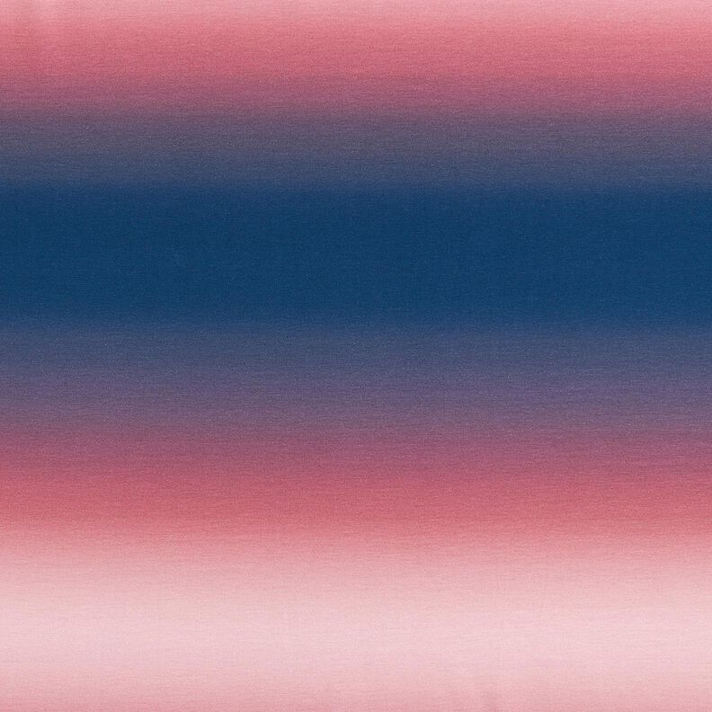 Cotton Jersey Ombre | Glitzerpüppi – midnight blue/pale berry,  image number 1