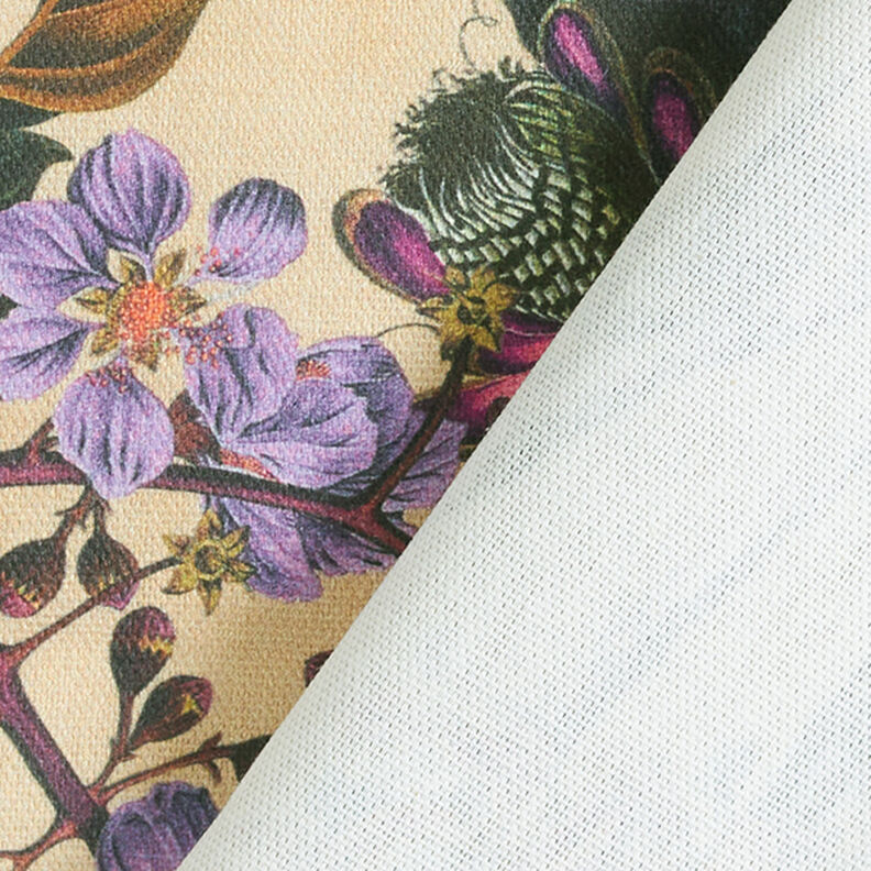 Decor Fabric Half Panama Nostalgic Fruits – almond/grape,  image number 4