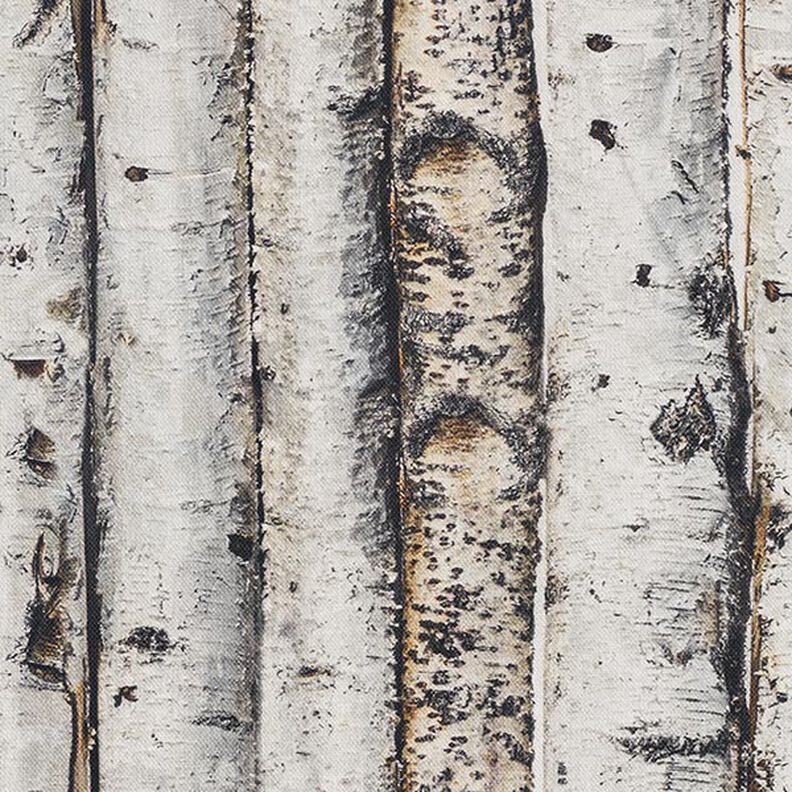 Decor Fabric Half Panama birch trunks – light grey,  image number 6