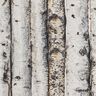 Decor Fabric Half Panama birch trunks – light grey,  thumbnail number 6