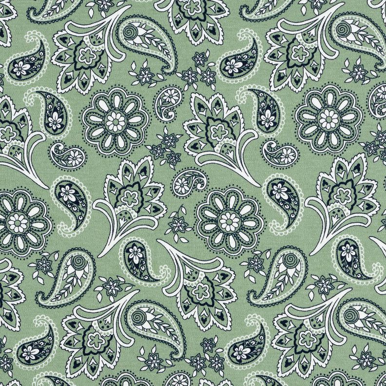 Cotton Jersey Paisley – reed/white,  image number 1