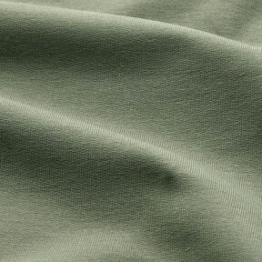 Brushed Sweatshirt Fabric Premium – dark pine, 