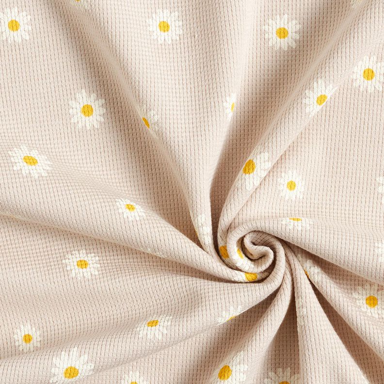 Waffle Jersey Ox-eye daisies – natural, image number 3