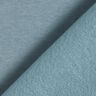 Brushed Sweatshirt Fabric – dove blue,  thumbnail number 5