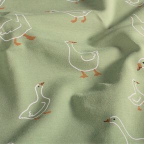 Cotton Jersey Goose family – reed, 