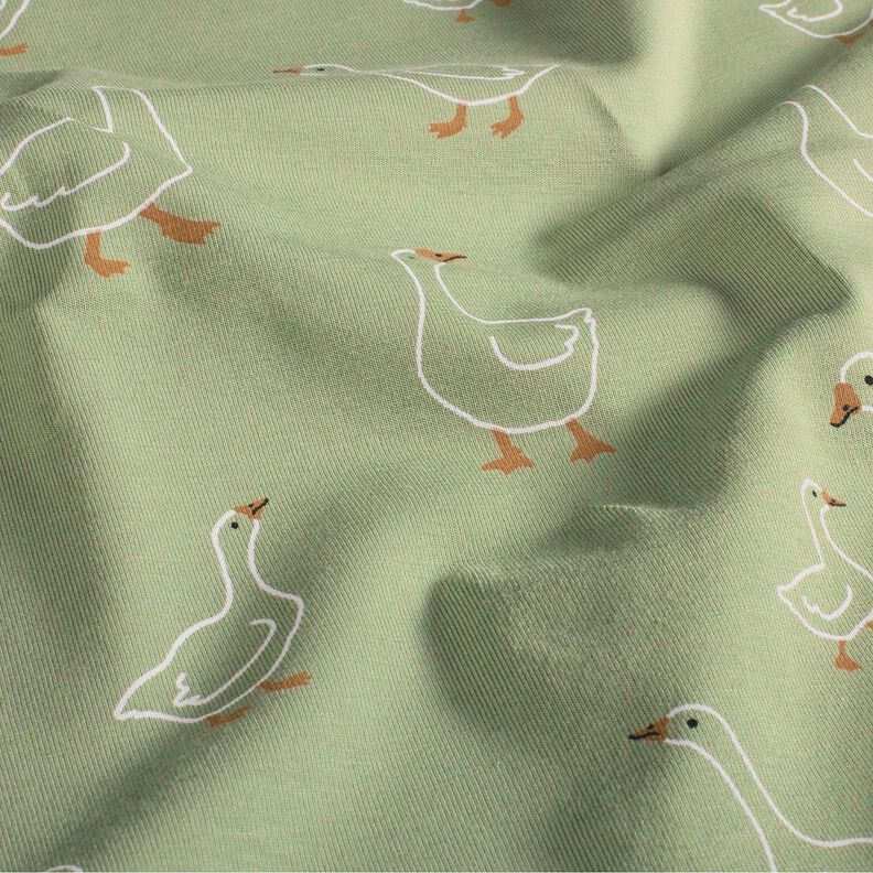 Cotton Jersey Goose family – reed,  image number 2