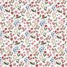 Cotton Jersey Flower meadow with little apples  – offwhite,  thumbnail number 1