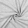 Plain Nicky Velour – silver grey,  thumbnail number 1