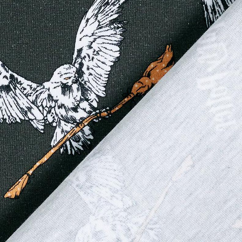 Cotton Jersey Licensed Fabric Harry Potter, Hedwig with Broom | Warner Bros. – slate grey,  image number 4