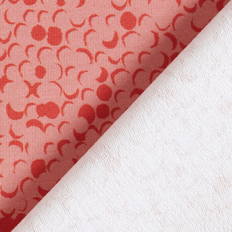 GOTS French Terry Dots | Tula – dusky pink/terracotta,  image number 4