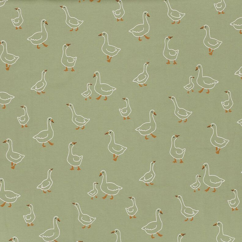 Cotton Jersey Goose family – reed,  image number 1