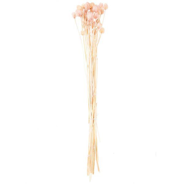 Dried Japanese Teasel [ 50 g ] | Rico Design – pink,  image number 4