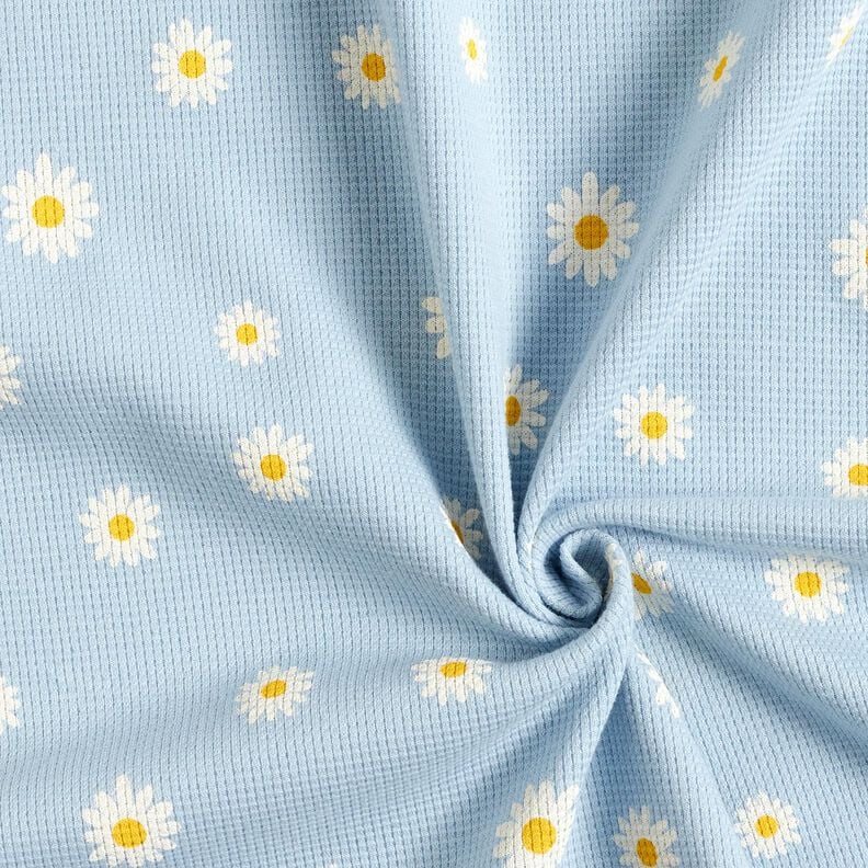 Waffle Jersey Ox-eye daisies – silver blue, image number 3