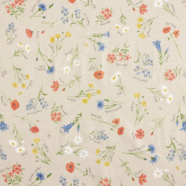 Coated Cotton alpine flowers – natural/blue,  image number 1