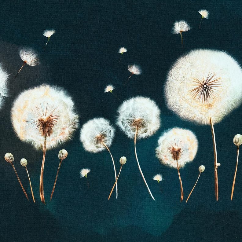 Cotton Jersey dandelions Border Fabric | Glitzerpüppi – blue-black/almond, image number 5