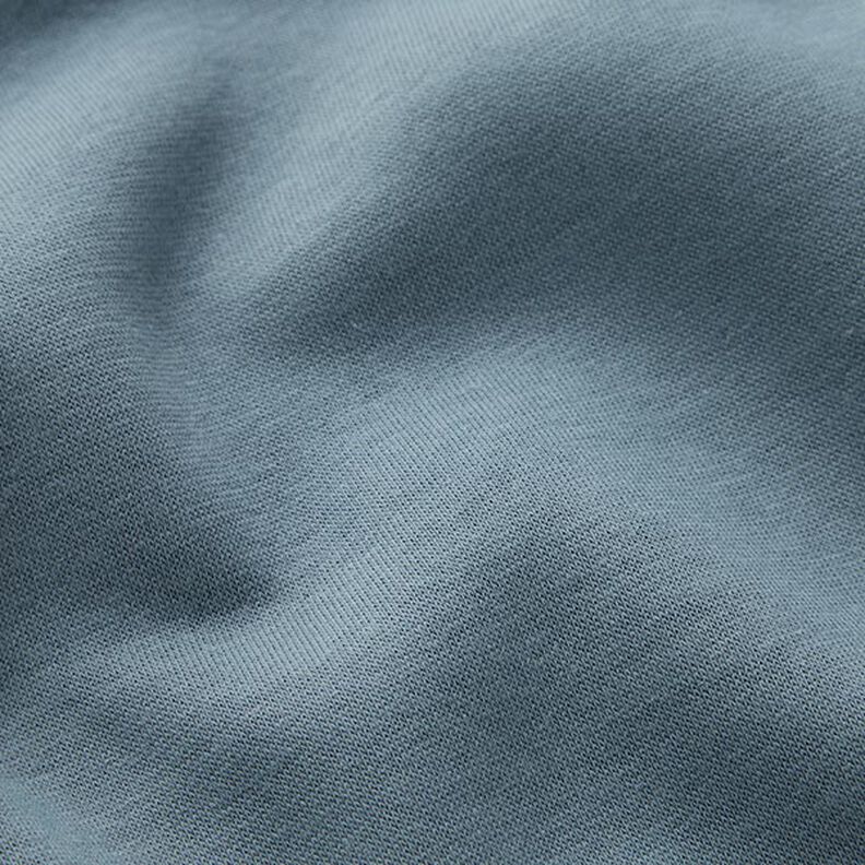 Brushed Sweatshirt Fabric – dove blue,  image number 3