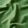 Decor Fabric Canvas – pine,  thumbnail number 2