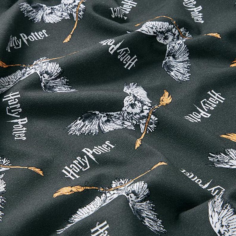 Cotton Jersey Licensed Fabric Harry Potter, Hedwig with Broom | Warner Bros. – slate grey,  image number 2