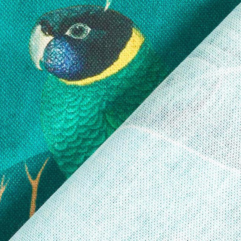 Decor Fabric Canvas Birds of Paradise – dark green,  image number 4