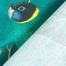 Decor Fabric Canvas Birds of Paradise – dark green,  thumbnail number 4