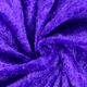 Panné velvet 4,  thumbnail number 2