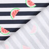 Cotton Jersey melon stripes – white/midnight blue,  thumbnail number 4