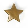 Color métallique Snaps Star Press Fasteners 2 - gold metallic| Prym,  thumbnail number 1