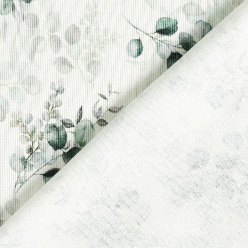 Ribbed Jersey Eucalyptus Digital Print – offwhite,  image number 4