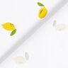 Cotton Poplin lemons – white,  thumbnail number 4