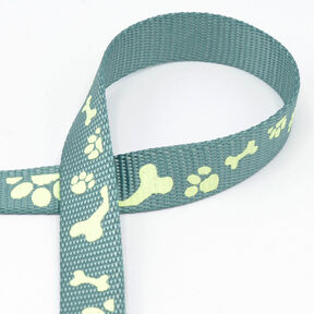 Reflective woven tape Dog leash [20 mm]  – sage, 