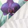 Outdoor Fabric Canvas Exotic flowers – white/green,  thumbnail number 4