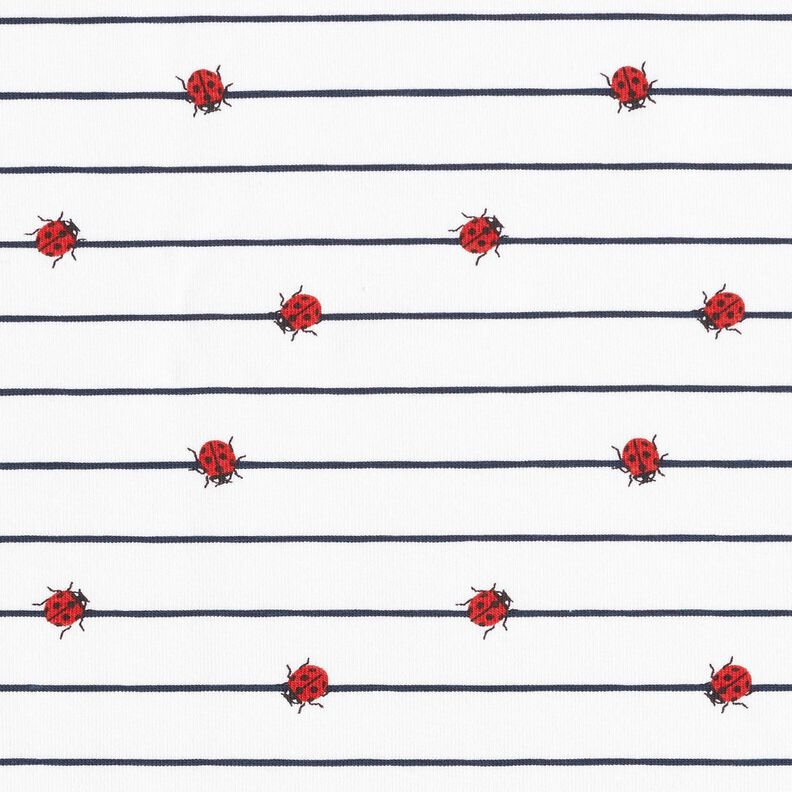 Cotton Jersey Stripes and ladybugs – offwhite,  image number 1