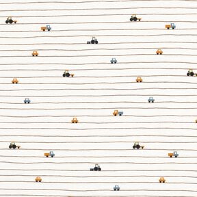 Cotton Jersey Mini vehicles on stripes – offwhite, 