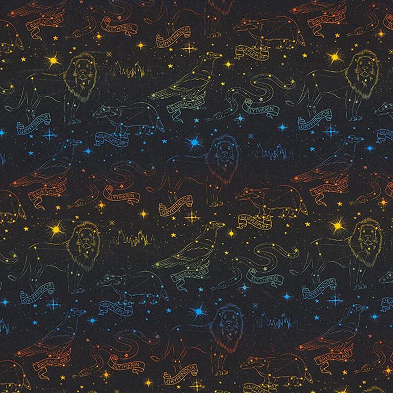Cotton Jersey Licensed Fabric Heraldic animal constellations of Harry Potter | Warner Bros. – black,  image number 1