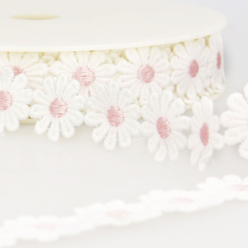 Ox-Eye Daisy Lace Ribbon  – white/pink,  image number 1