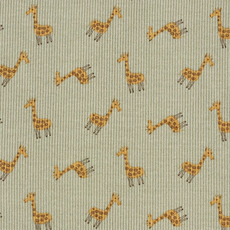 Ribbed Jersey Cute giraffes – khaki, image number 1