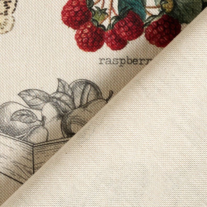 Decor Fabric Half Panama fruit varieties – natural/dark green,  image number 4
