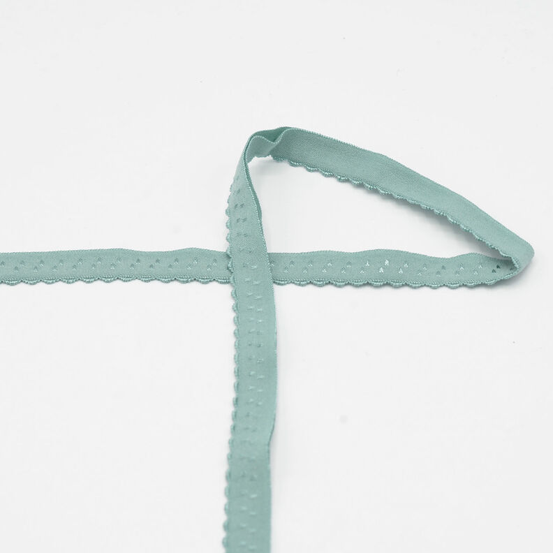 Elastic Edging Lace [20 mm] – reed,  image number 1
