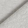 Ottoman ribbed jersey Melange – light grey,  thumbnail number 4