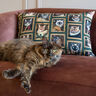 Decor Fabric Half Panama Cat portraits – dark green/gold,  thumbnail number 5